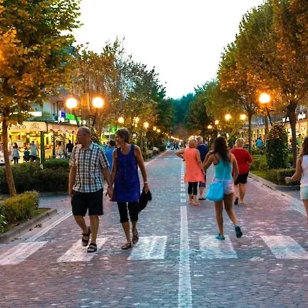 Apartment Discover Tranquility In Our Cozy Flat *