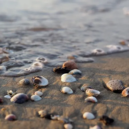 Discover Tranquility In Our Cozy Flat * Bibione