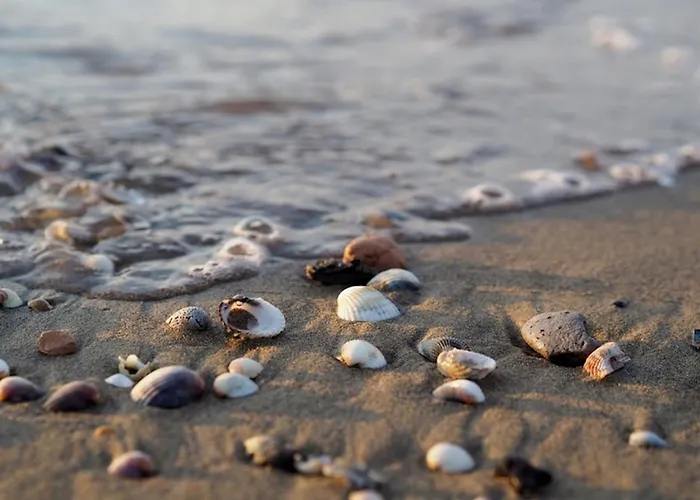 Daire Discover Tranquility In Our Cozy Flat Bibione